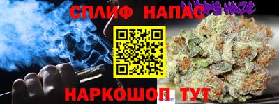 трава Новокубанск